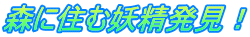 森に住む妖精発見！
